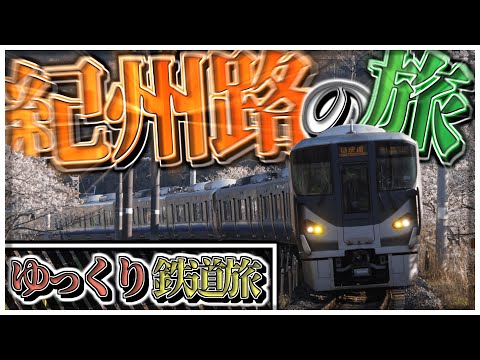 【鉄道旅】関西の特急街道！！大阪と和歌山を結ぶ主要幹線に乗ってみた（阪和線）