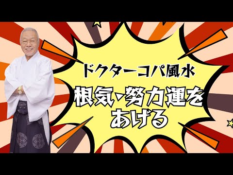 【根気と努力運をあげる！】不運と厄を吸い取る黒い出目金・開運玉黒