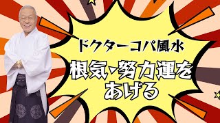 【根気と努力運をあげる！】不運と厄を吸い取る黒い出目金・開運玉黒