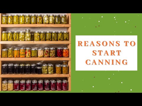 Reasons to Start Canning Now!