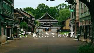 [Edo-Tokyo Architectural Museum] Take a walk in the Edo-Tokyo Architectural Museum in Koganei Park.