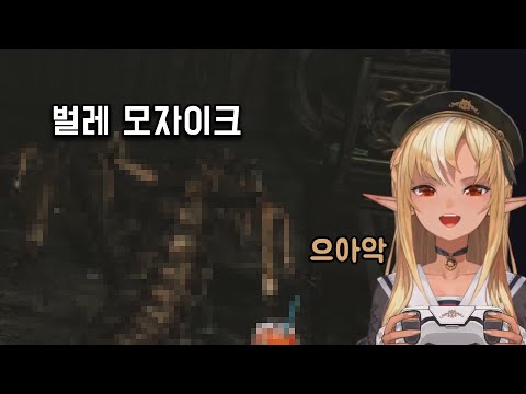 태그 : Insect [시라누이 후레아]