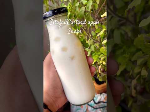 Sitafal milkshake or custard apple shake #sitafal #custardapple #shareefa #shorts #shake #easyrecipe