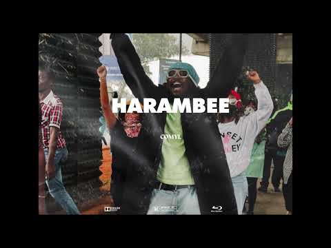 Free Nyashinski x Wakadinali Reggae Instrumental Type Beat 2024 - ''Harambee''