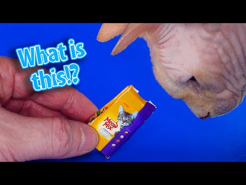 DIY Miniature Meow Mix Original Choice Dry Cat Food Bag | DollHouse How to make