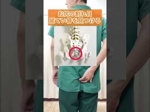 腰痛が楽になる仙骨ほぐし！#腰痛 #腰痛予防 #腰痛対策