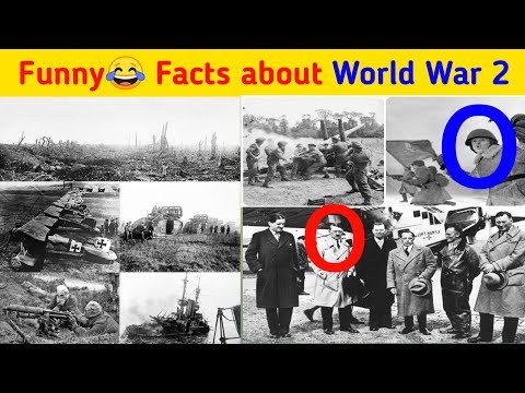 Funny facts about World War 2| Amazing Facts about World War| #knowledgeguroo #shorts #hindi #facts