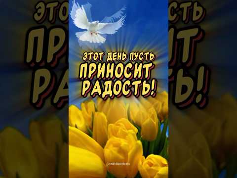 Хорошего дня и отличного настроения👍￼#пожеланиедлядрузей