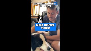 Dr Evan - What they didn't tell you about Neutering your male pet! 🐶🐱