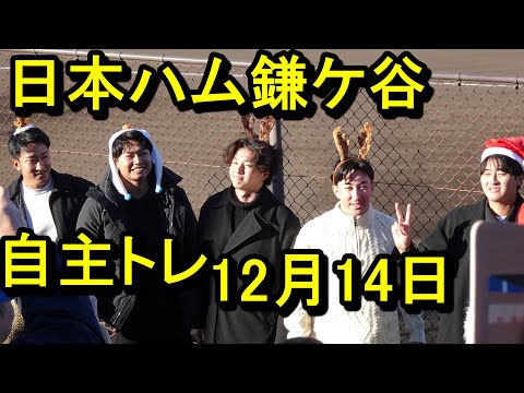 日本ハム鎌ケ谷自主トレ2024.12.14