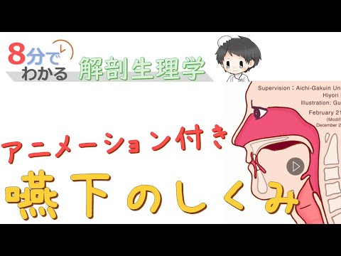 嚥下のしくみ（アニメーション付き）【8分でわかる解剖生理学】