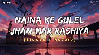 Naina Ke Gulel Jhan Mar Rashiya | नैना के गुलेल झन मार रसीया Cg Song | Slowed And Reverb | Lofi Mix