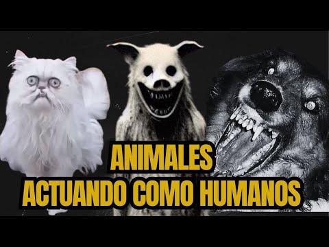 Perros y cerdos actuando de forma siniestra.