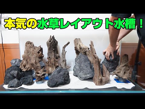 【水草水槽】今回からガチですから！　ガチ勢ですから！