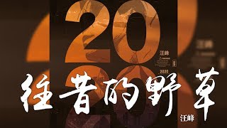 汪峰 -《2020》- 往昔的野草｜CC歌詞字幕