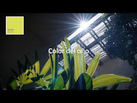 Color del Año 2025 | ColorLife TRENDS 2025