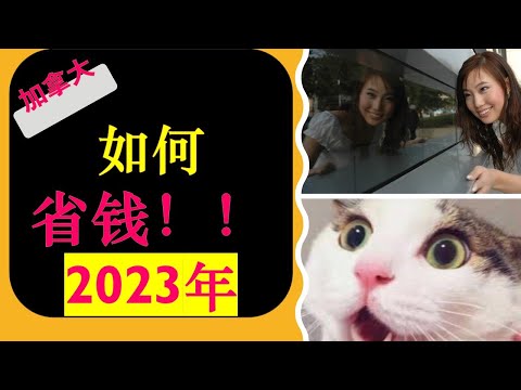 加拿大： 2023年加拿大如何省钱！！ | 想省钱的话一定要看哦~ | How to Save Money in 2023 | 婷婷谈钱