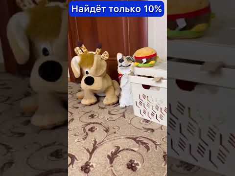 СМОЖЕШЬ НАЙТИ НАСТОЯЩУЮ СОБАКУ??? (Часть 4)