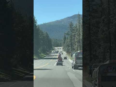 Scenic drive lined with pine trees on the way to Lake Tahoe in Nevada!