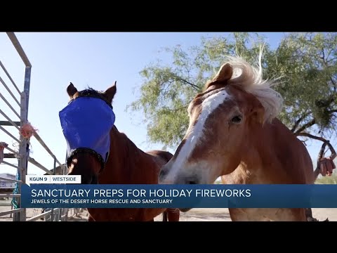 Three Points horse rescue and sanctuary preps for holiday fireworks