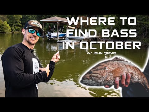 Where To FIND BASS In OCTOBER w/ John Crews