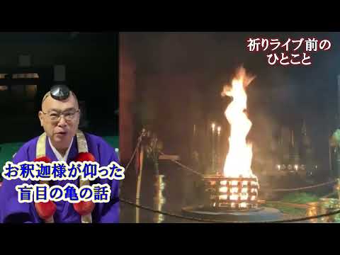 開経偈と盲目の亀…忙しい時間に、しゃべり過ぎてたらごめんなさい