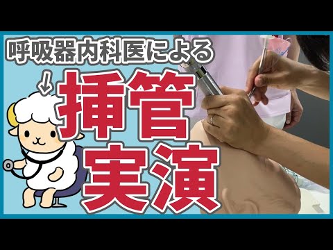 気管挿管の実演動画【術者、介助者での両方の視点です】