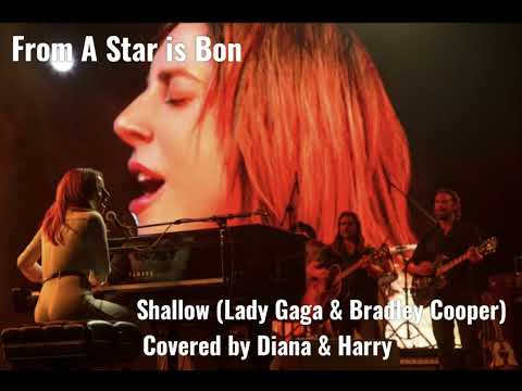 Shallow(Lady Gaga & Bradley Cooper) covered by Diana & Harry _ Band TTL(Treibute To Legends)