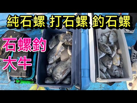 螺越來越貴 一定要用純金寶螺才釣的到魚嗎 今天我來破解一下這個迷思 打純石螺吸引的到魚群嗎 ? 勾石螺釣的到魚嗎 ?