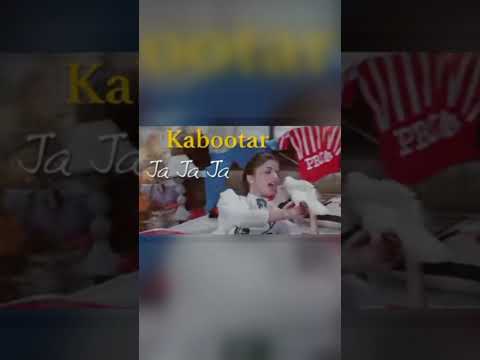 Kabootar ja ja ja kabo)#satyam #shivam #sundram #viral #youtubeshorts #everyone #bollywood #songs