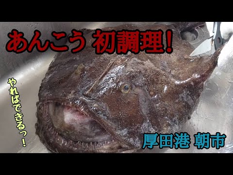 朝市で買った6kgのアンコウ 素人が捌く！衝撃の腹の中！！