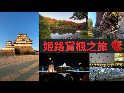 【姬路vlog】姬路除了姬路城還有什麼🤔搭纜車上山的寺廟、好古園賞楓🍁11月夜間點燈、姬路站老牌明石燒