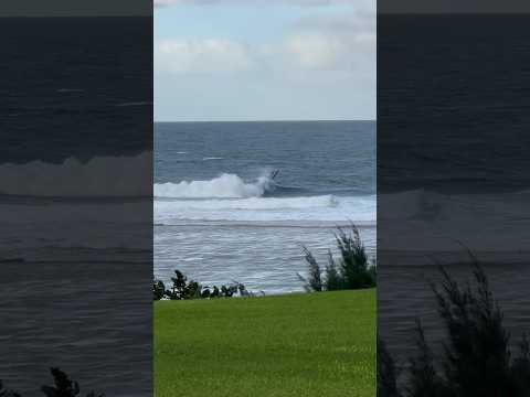 Backside air #surfing #backside #hawaii