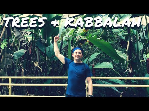 Trees, Kabbalah & the Spirituality of Nature