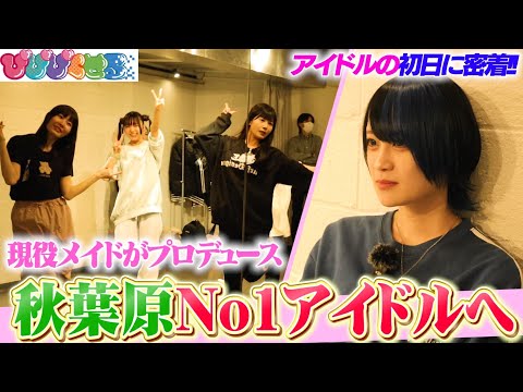 【デビュー決定！】「秋葉原メイドの虎」からスタートした、アイドル企画！『ぴぴぴくせる』本格始動！