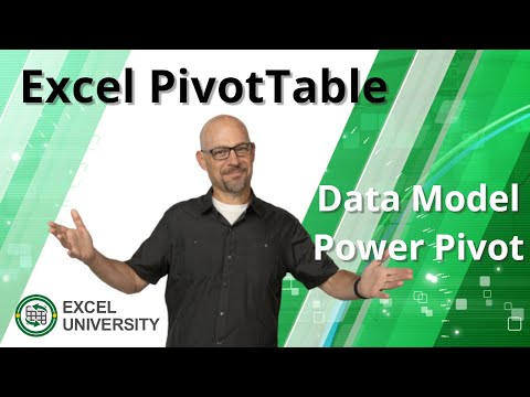 How to Build a PivotTable with the Data Model