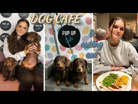 DOG CAFE&CHALLENGING EATING OUT!