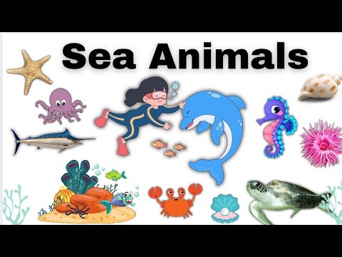 Sea animal names in English #seaanimals #seanimalsname #seaanimalsforkids #brightkidsworld