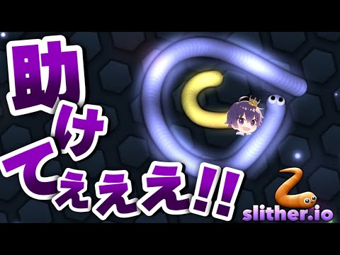 【実況】ついに...世界1位！？ミミズって人生なんだよなあ。【Slither.io/スリザリオ】