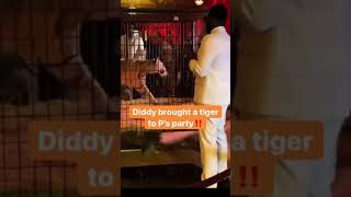 Diddy Bought A TIGER At P's Party!