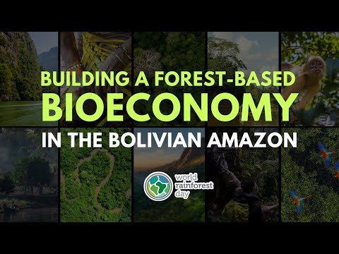 Building a Forest-Based Economy in the Bolivian Amazon (Spanish) | World Rainforest Day Summit 2022