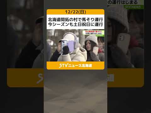 北海道開拓の村で馬そり運行　今シーズンも土日祝日に運行　開拓当時は冬の大切な交通手段 #shorts