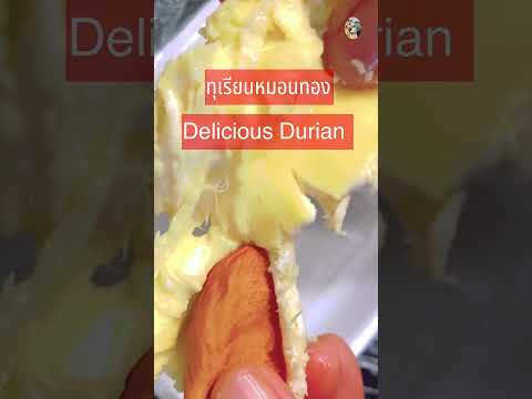 มันมาแล้วก็ต้องกิน#short #shortsvideo #shortsupdate @ครูพี่ต๋อย nanta story