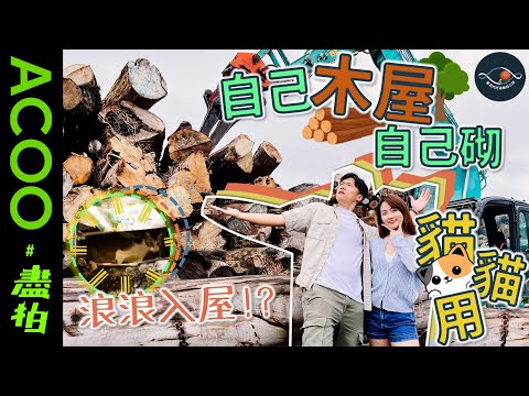 【一試二做三堅持】特別篇！自己木屋自己砌🪵｜給流浪貓的小木屋🐾｜製造木屋過程全公開🛖｜#盡拍｜ACOO