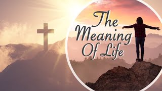 Worship- The Meaning of Life: It's Not Your Career - 2025-01-12 @ 9:30am