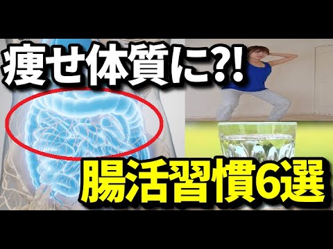 腸内環境を整えて痩せ体質になる腸活習慣６選！腸活によるメリットとは？朝起きてすぐに〇を飲むと？知ってよかった健康雑学