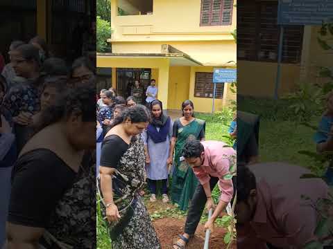 Environment day plant sapling and pledge