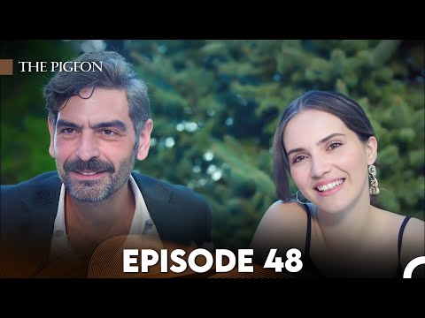 The Pigeon Episode 48 (FULL HD) - FINAL