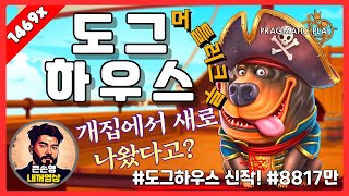 [슬롯][슬롯추천] 도그하우스 머틀리크루 - 프라그마틱 🚢 신작 슬롯의 도그 하우스 개집에서 그림장  잭팟 판타스틱베이비~! 🚢 [슬롯잭팟][슬롯사이트]