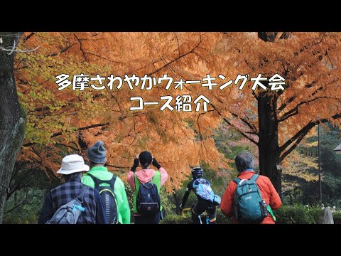 【コース紹介】第１９回多摩さわやかウォーキング大会　健康推進課